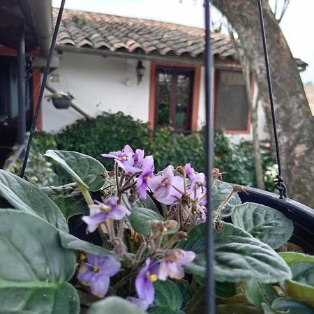 קואטפק Hotel Boutique Casabella מראה חיצוני תמונה