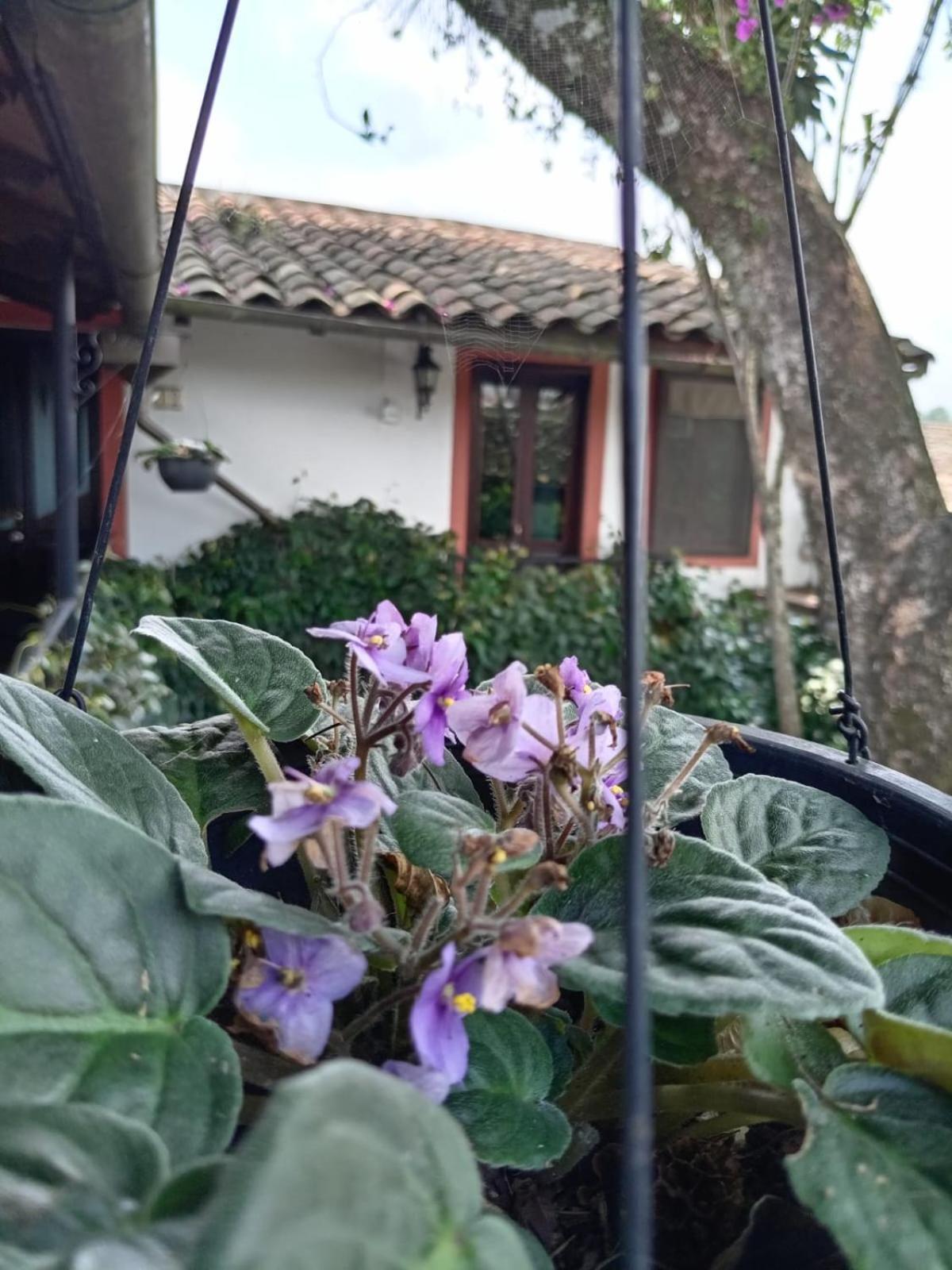 קואטפק Hotel Boutique Casabella מראה חיצוני תמונה